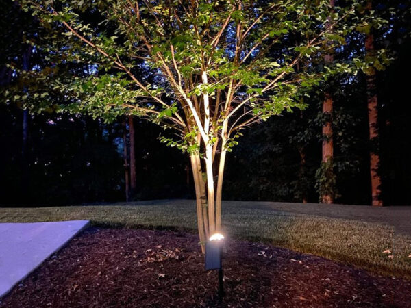 Tree Uplighting / Landscape Spotlight
