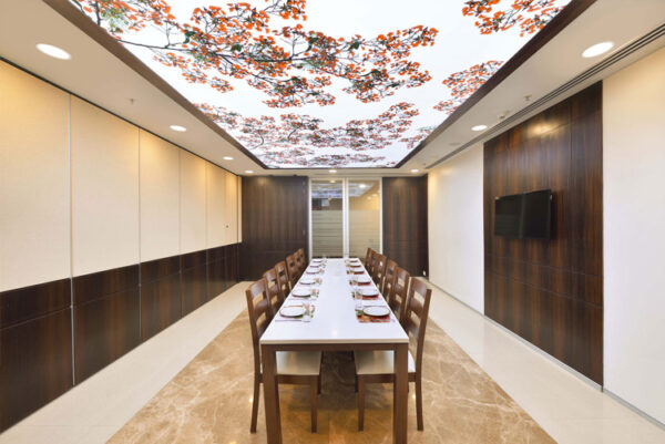 Translucent Stretch Ceiling