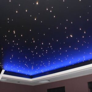 Fiber optic lights